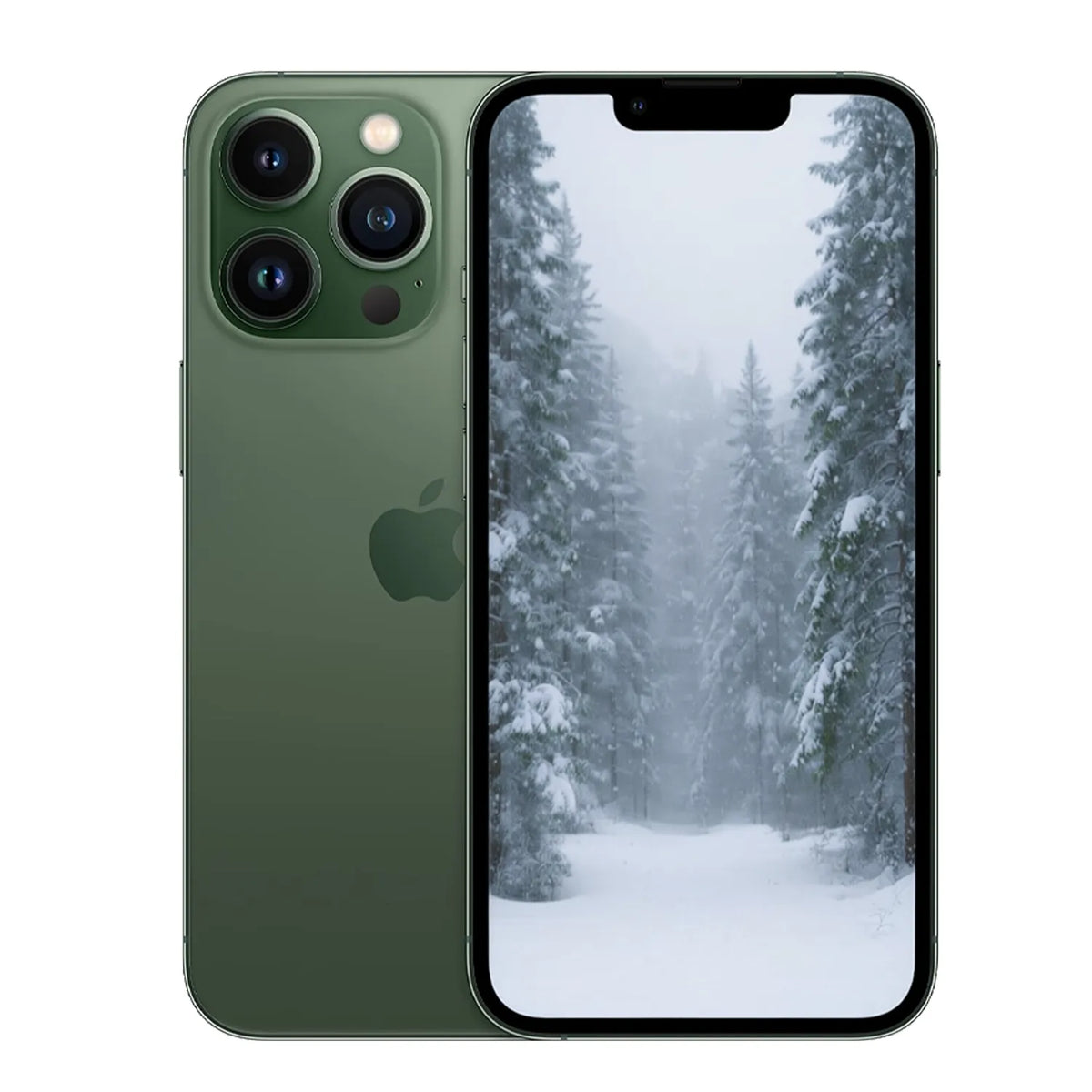 Dark Green / Grade A