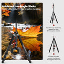 Freewell multi tripod 5-in-1 accessories and parts